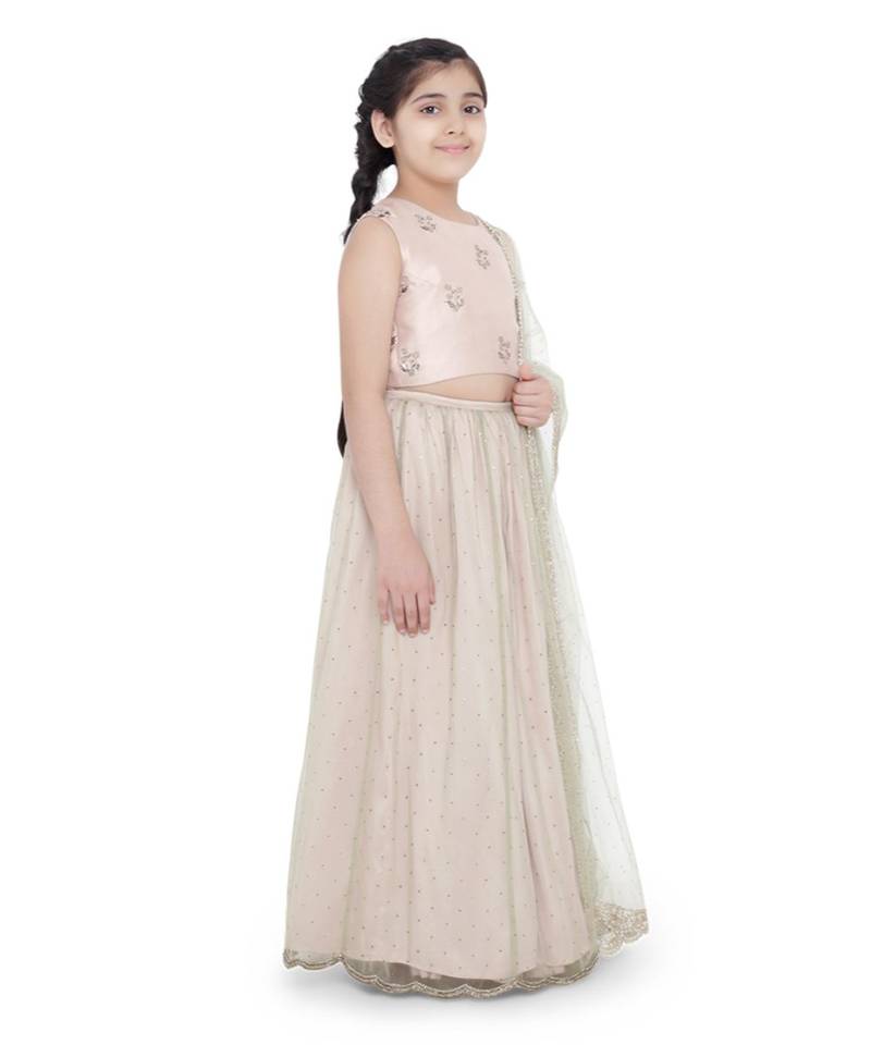 Silk Embroidered Choli with Mint Colour Mukaish Net and Blush Colour Silk Lehenga with Mint Colour Net Dupatta for Girls