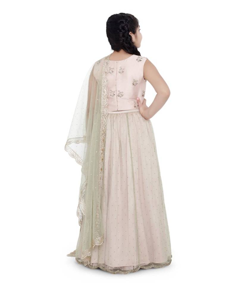 Silk Embroidered Choli with Mint Colour Mukaish Net and Blush Colour Silk Lehenga with Mint Colour Net Dupatta for Girls