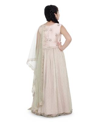 Silk Embroidered Choli with Mint Colour Mukaish Net and Blush Colour Silk Lehenga with Mint Colour Net Dupatta for Girls 4