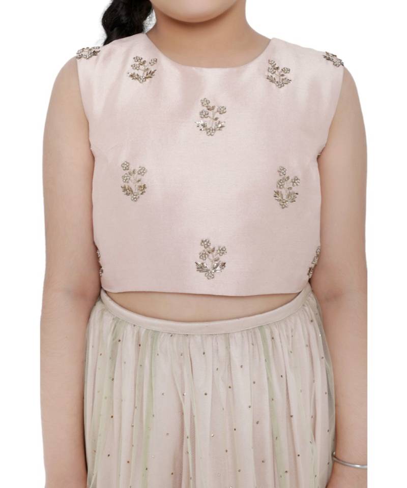 Silk Embroidered Choli with Mint Colour Mukaish Net and Blush Colour Silk Lehenga with Mint Colour Net Dupatta for Girls
