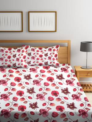 King Size 104 TC Cotton Double Bedsheet with 2 Pillow 1
