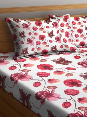 King Size 104 TC Cotton Double Bedsheet with 2 Pillow 3