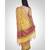 Cotton silk banarasi floral jaal saree