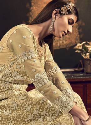 Dark Cream Butter Fly Net  Wedding Salwar Kameez 3