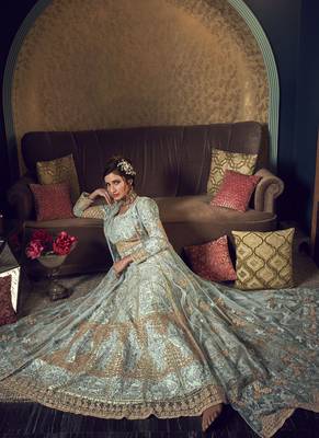 Sky Blue Butter Fly Net  Wedding Salwar Kameez 3