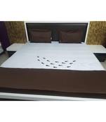 250TC Pure Cotton Fitted King Size Bedsheet With 2 Pillow CoversK3347GC-25X_12
