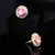 american diamonds Alloy Earrings