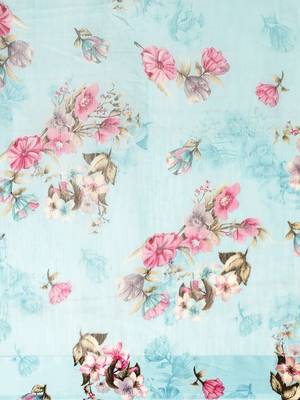 Sky blue printed cotton saree with blouse 5
