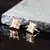 american diamonds Alloy Earrings