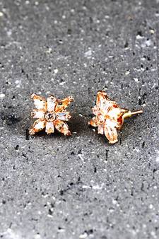 american diamonds Alloy Earrings