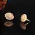 american diamonds Alloy Earrings