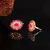 american diamonds Alloy Earrings