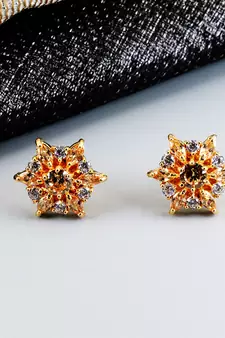 american diamonds Alloy Earrings