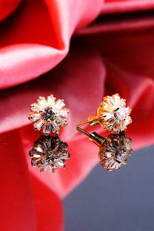 american diamonds Alloy Earrings