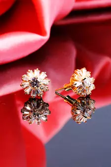 american diamonds Alloy Earrings