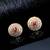 american diamonds Alloy Earrings