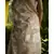 Stunning matka silk jamdani saree in beige with all over floral motifs