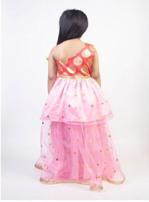 Ruviero net motif print foil print choli with net lehenga 2
