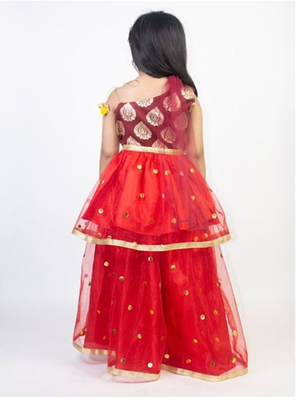 Ruviero red net motif print foil print choli with net lehenga 2