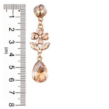 Brown zircon   earrings 4