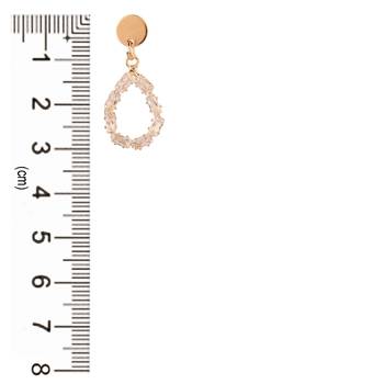 Black zircon   earrings 4