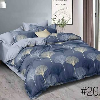 Noor Startup Glace Cotton 210 TC Handprinted King Size Bedsheet With 2 Pillow Cover 1