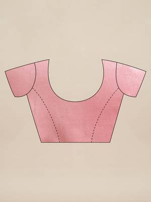 Pink embroidered organza saree with blouse 3