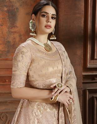 Beige embroidered net semi stitched lehenga 3
