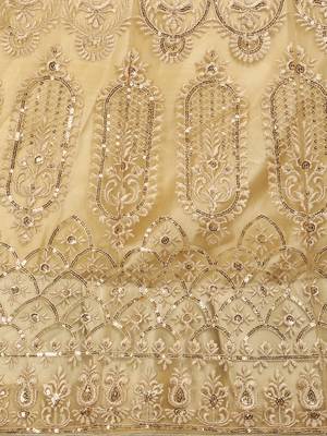 Beige embroidered net semi stitched lehenga 4