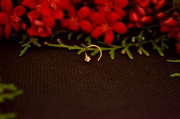 Designer diamond gold plated premium nose ring or nose pin 3