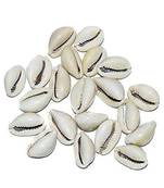 Rolimoli Natural White Kodi Shells for Pooja (White:: Set of 21)