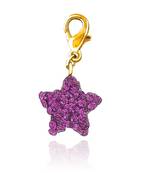 Mahi Star Charm
