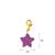 Mahi Star Charm
