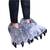 Animals Nails Footwear Grey