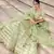 Light-green sequins embroidered net Semi Stitched Bridal Lehenga