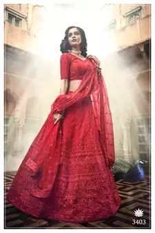 Red embroidered net Semi Stitched Bridal lehenga