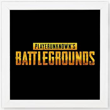 Pubg 1
