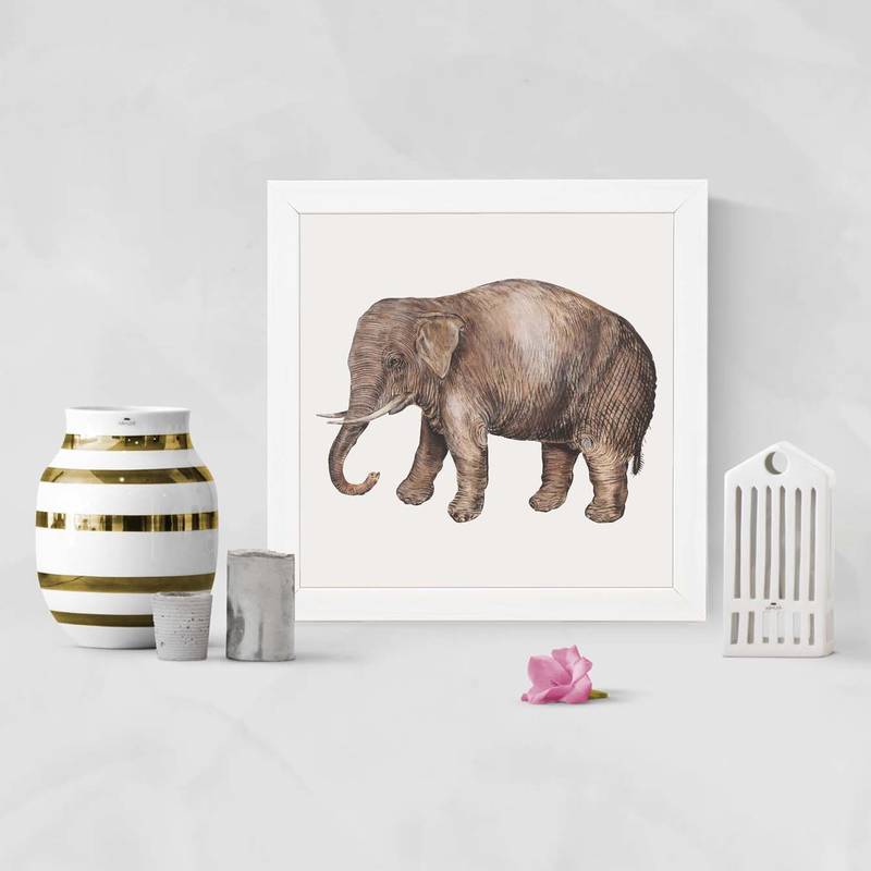 Elephant
