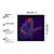 Guitar Free  Art  Music Black Framed Wall Hanging Art Print for Office  Home Reading Room  ( 8x8 ) Inch