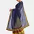 Navy Blue Embroidered Georgette Saree With Blouse