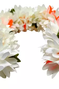 White hair-accessories