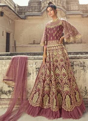 Light Wine Net Anarkali Salwar Kameez 1
