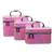 NFI essentials Makeup Bag Set of 3 Cosmetic Box Jewellery Bridal Box Trousseau Box Vanity Beauty Case Organizer (Pink)