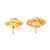 antique gold AlloyEarrings