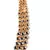 Gold  Alloy Kundan Necklace Set with Earrings for Women