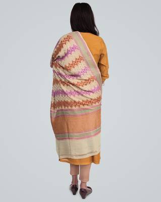Pure Chiffon Silk Banarasi Handwoven Dupatta 4
