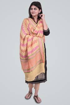 Pure Chiffon Silk Banarasi Handwoven Dupatta