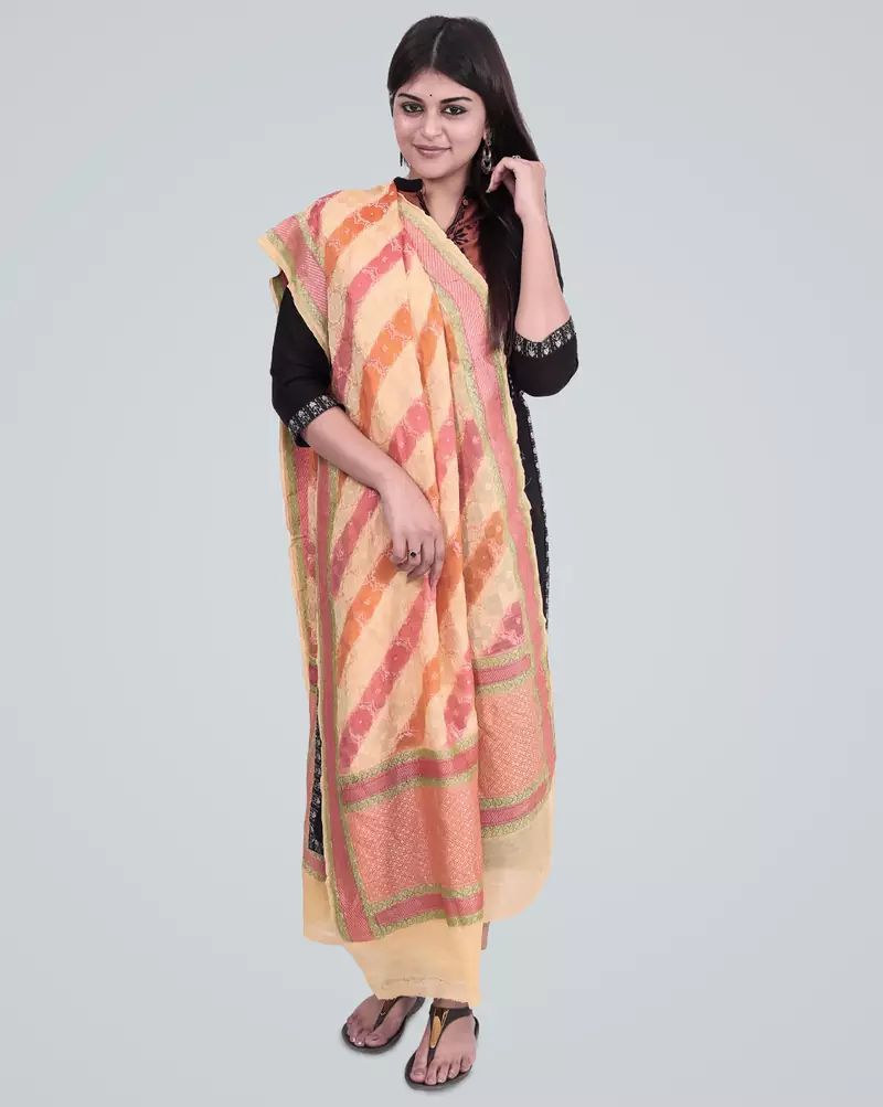 Pure Chiffon Silk Banarasi Handwoven Dupatta