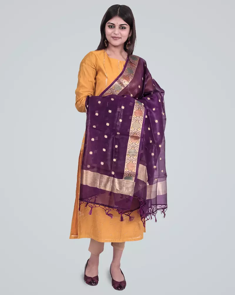 Pure Organza Silk Banarasi Zari Booti Dupatta