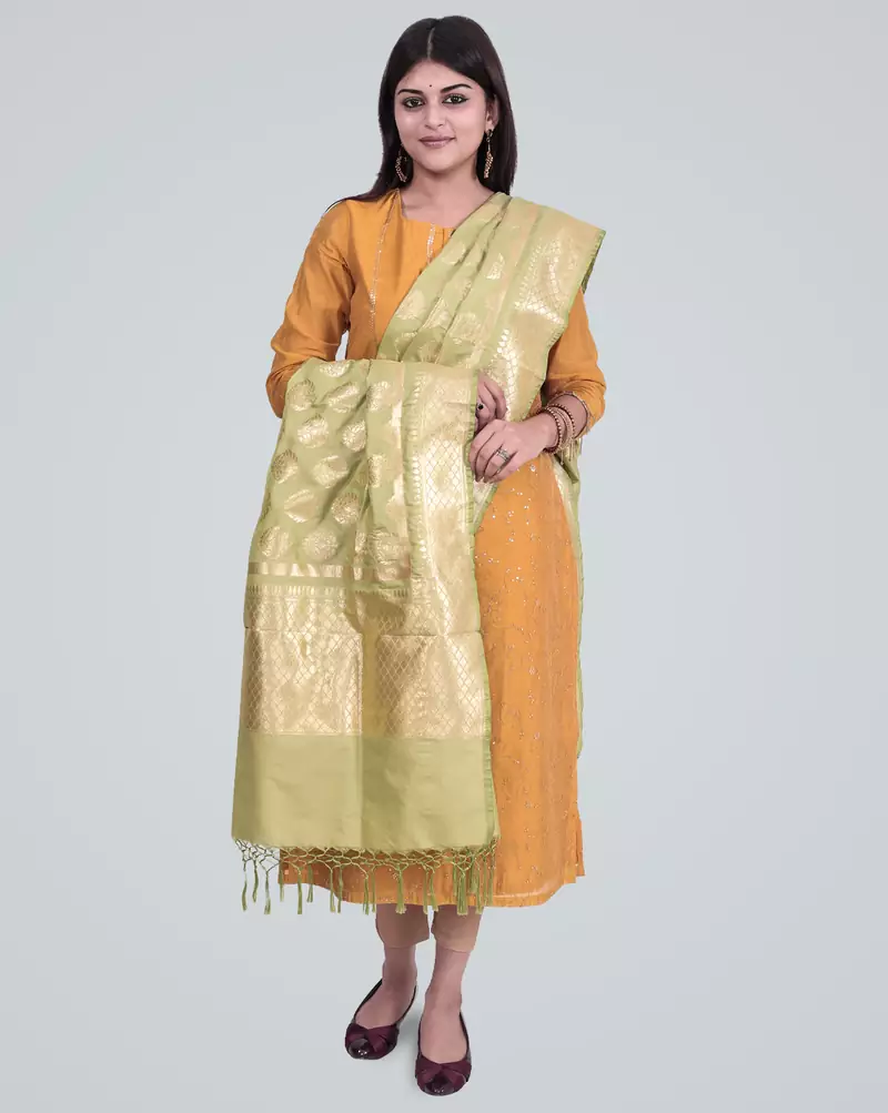 Semi Kataan Silk Banarasi Zari Boota Dupatta